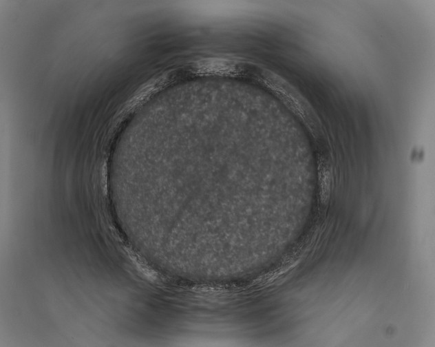 X0000094360729200711301424