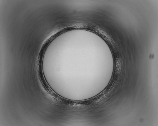 X0000094360730200711301424