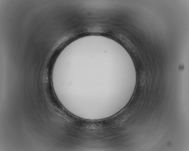 X0000094360731200711301424