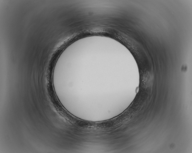 X0000094360732200711301424