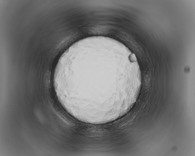 X0000094360733200711301424