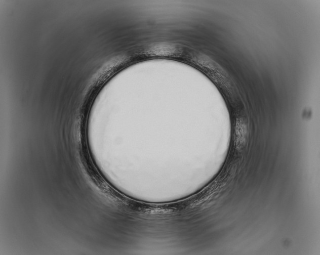 X0000094360734200711301424