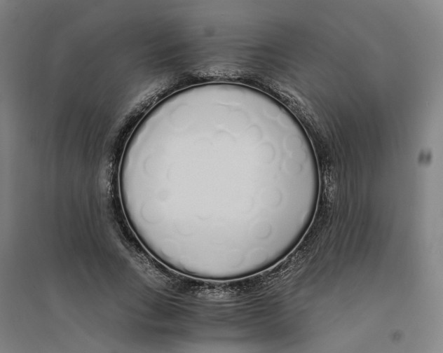 X0000094360735200711301424