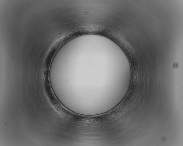 X0000094360736200711301424