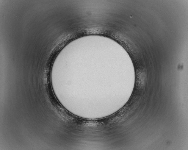 X0000094360738200711301424