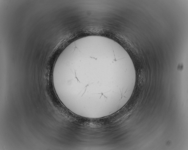 X0000094360739200711301424
