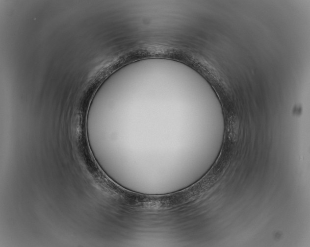 X0000094360740200711301425