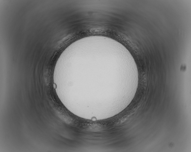 X0000094360741200711301425