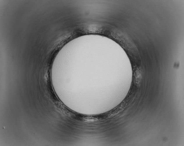 X0000094360746200711301425