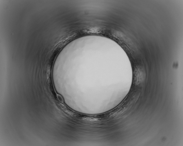 X0000094360747200711301425