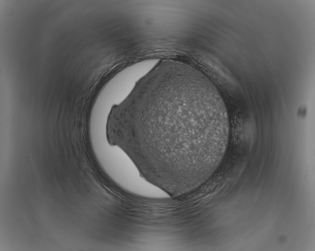 X0000094360748200711301425