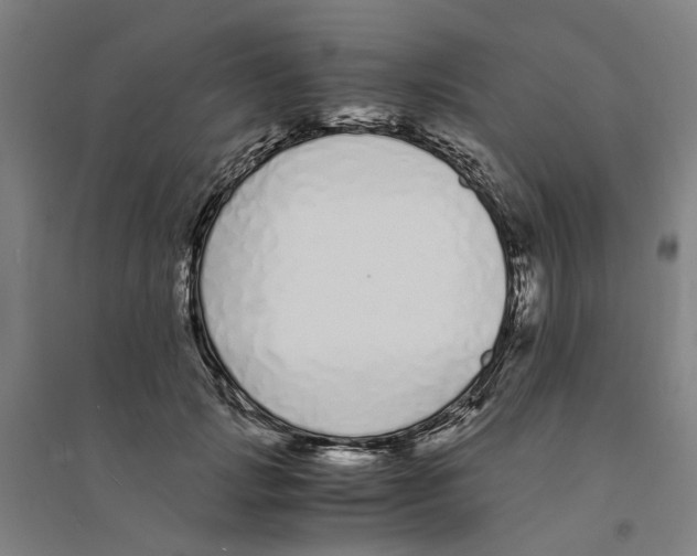X0000094360749200711301425