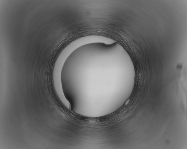 X0000094360750200711301425