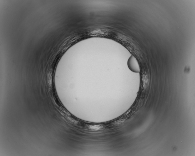 X0000094360753200711301425