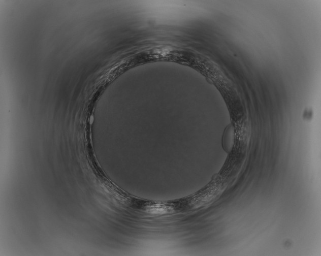 X0000094360754200711301425