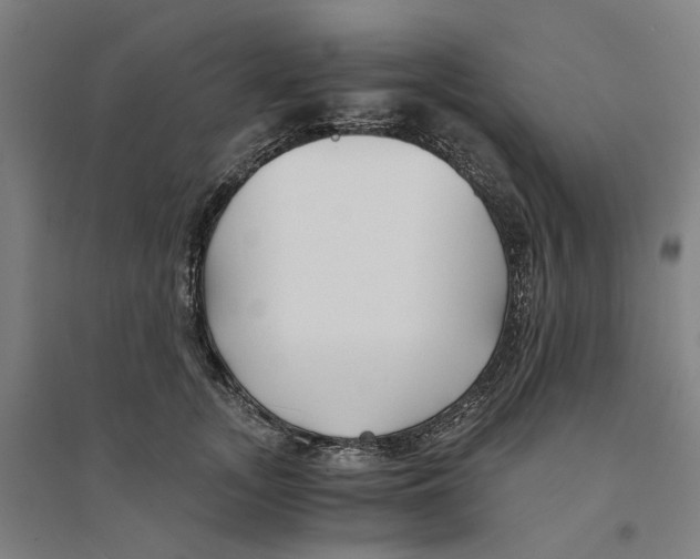 X0000094360755200711301425