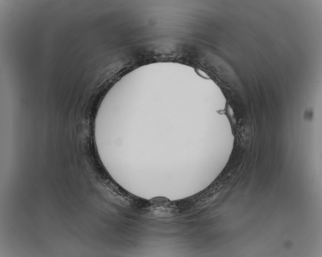X0000094360756200711301425