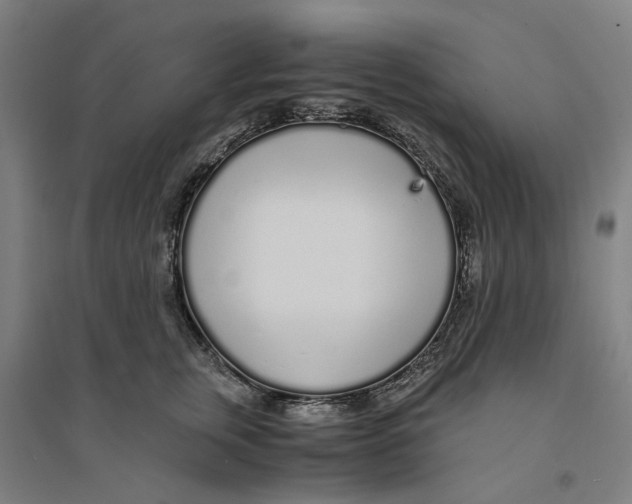 X0000094360759200711301425