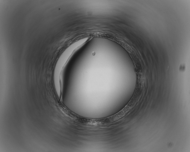 X0000094360760200711301425