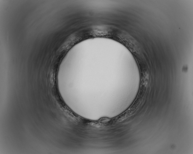 X0000094360763200711301425