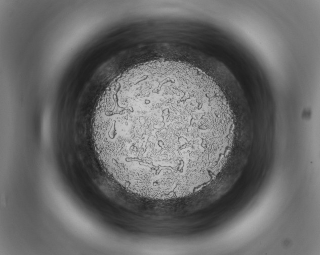 X0000094360765200711301425
