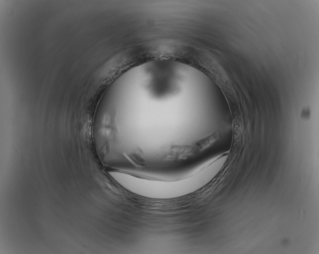 X0000094360766200711301425