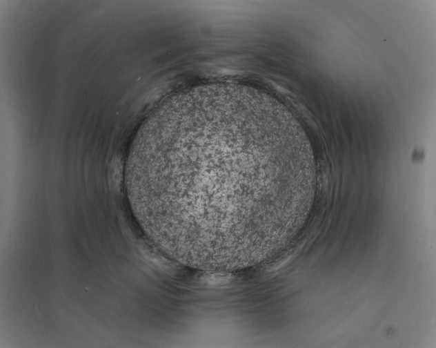 X0000094360767200711301425