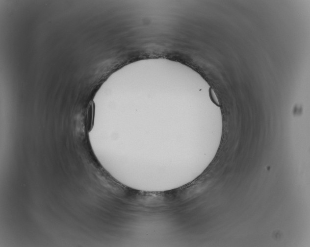 X0000094360768200711301425