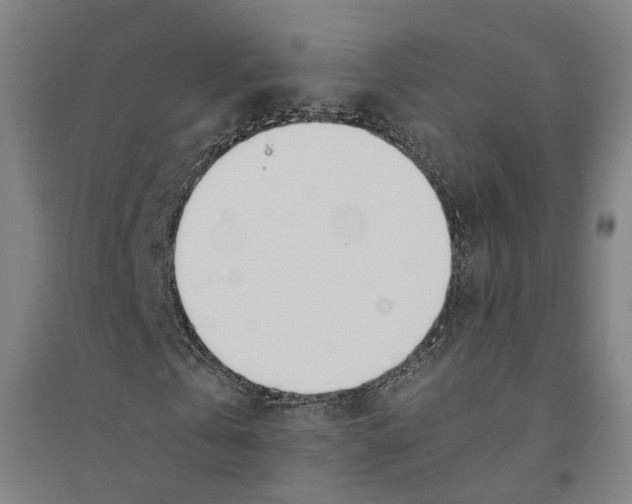 X0000094360769200711301424