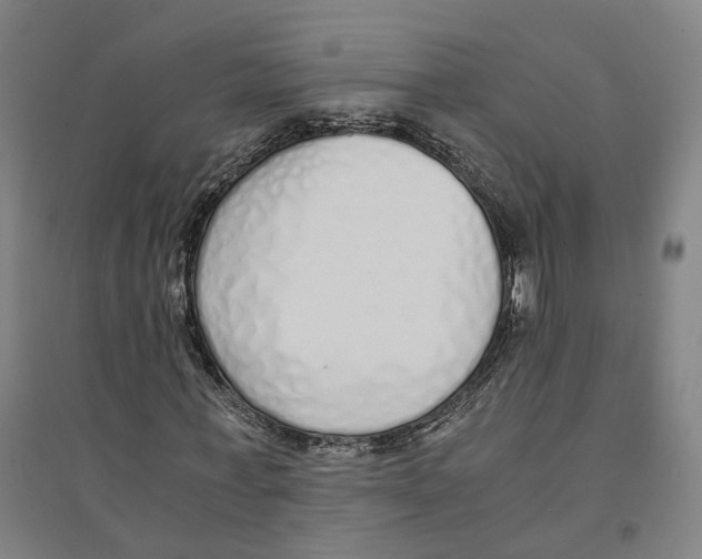 X0000094360771200711301424