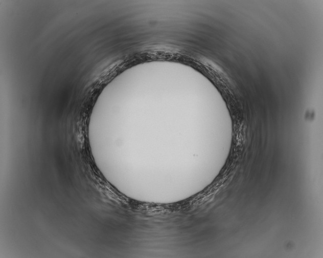 X0000094360774200711301424