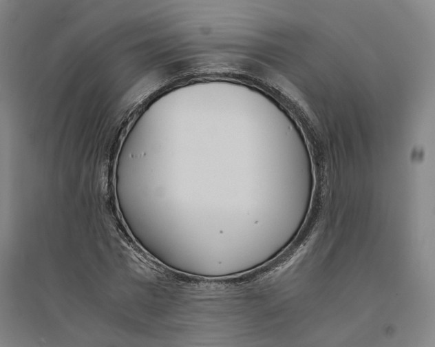X0000094360777200711301424