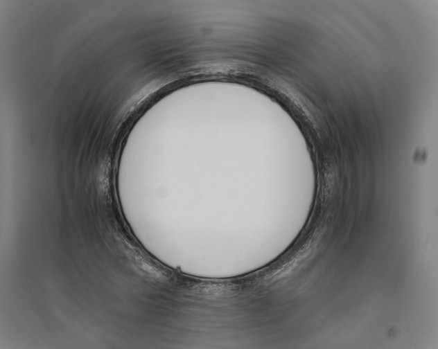X0000094360778200711301424