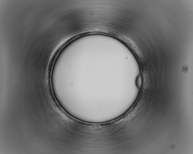 X0000094360780200711301424