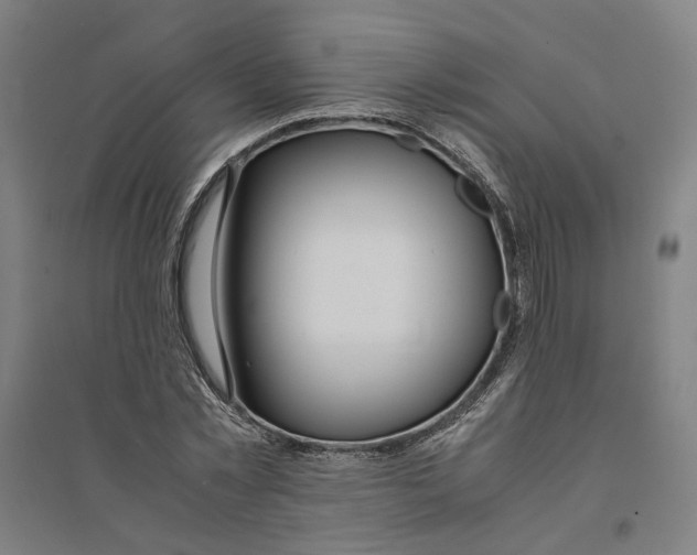 X0000094360781200711301424