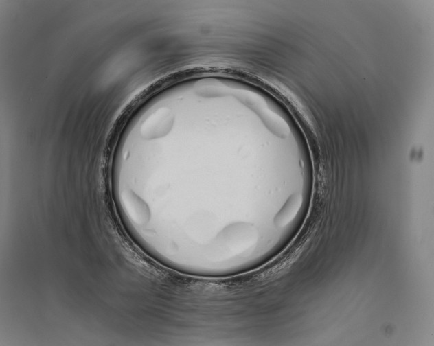 X0000094360783200711301424