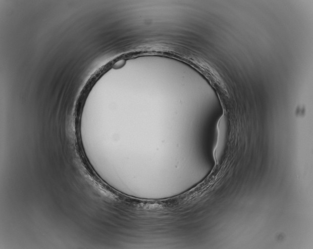 X0000094360784200711301424