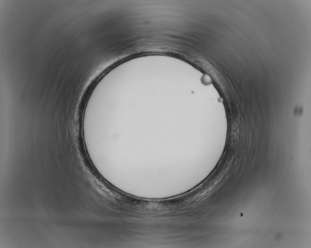 X0000094360787200711301424
