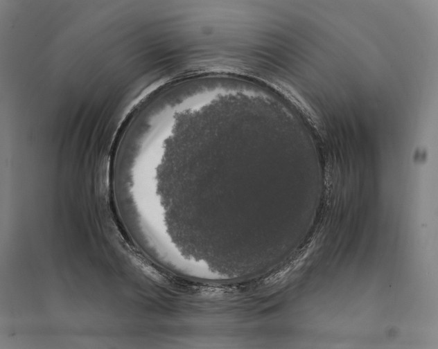 X0000094360790200711301424