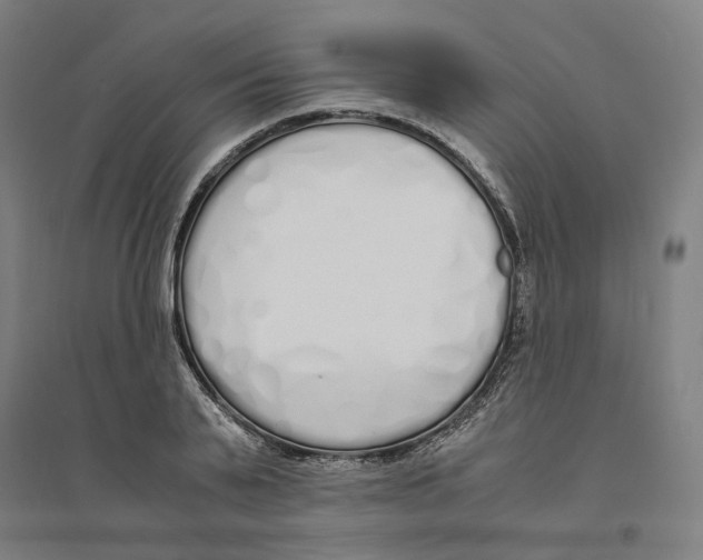 X0000094360791200711301424