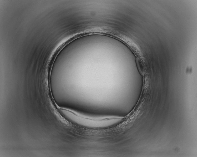 X0000094360792200711301424