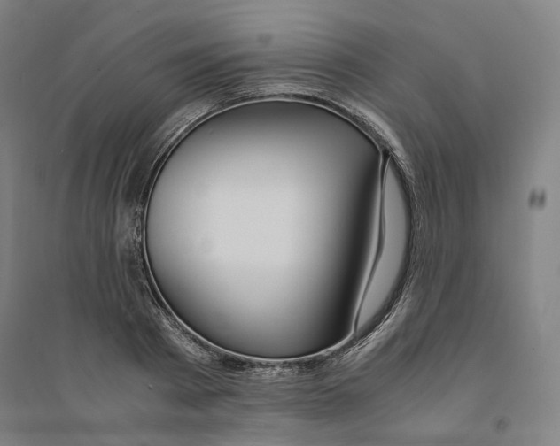 X0000094360793200711301424