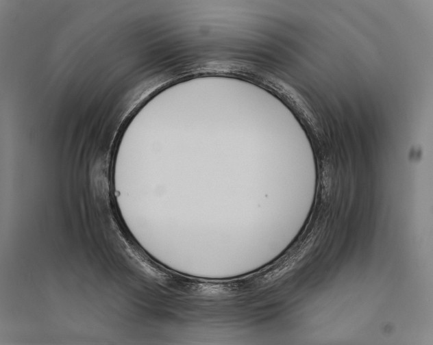 X0000094360794200711301424