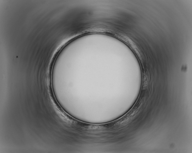 X0000094360795200711301424