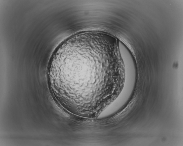 X0000094360797200711301424