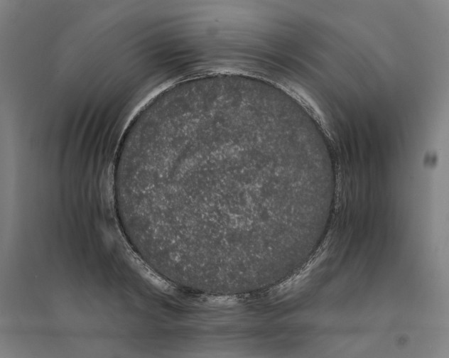 X0000094360798200711301424