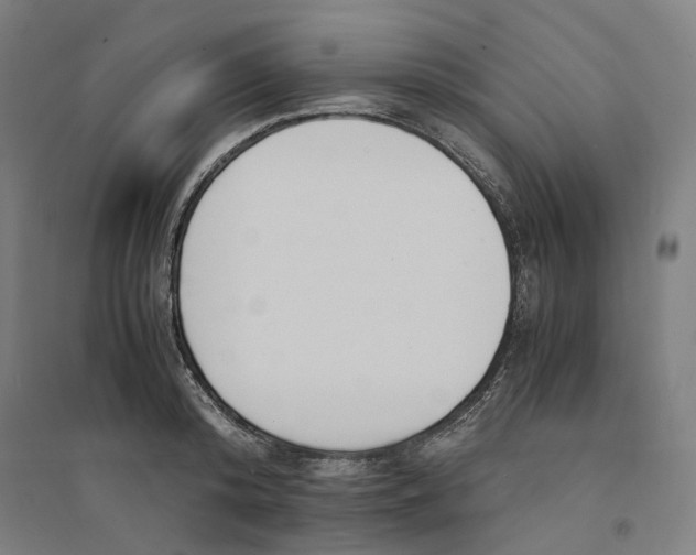 X0000094360800200711301424