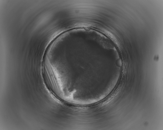 X0000094360802200711301424