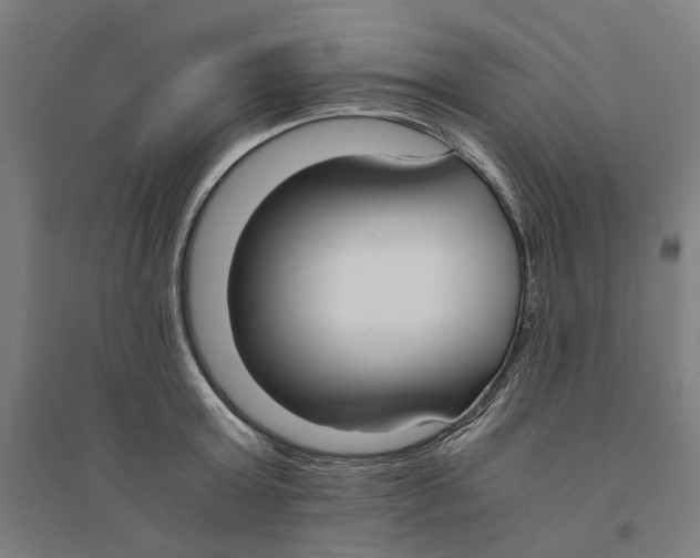 X0000094360803200711301424