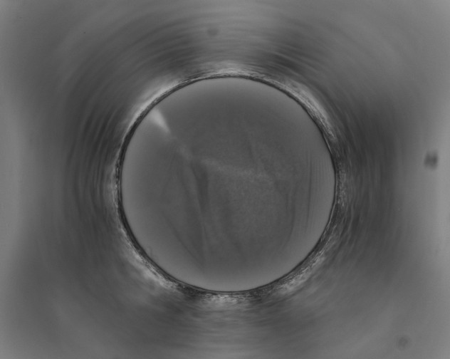 X0000094360806200711301424